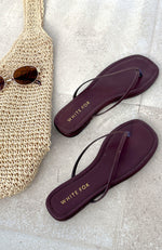 Roma Thong Sandals Chocolate