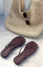 Roma Thong Sandals Chocolate