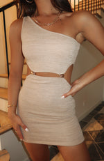 Don't Say Anything Mini Dress Beige