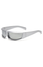 Delilah Sunglasses Silver